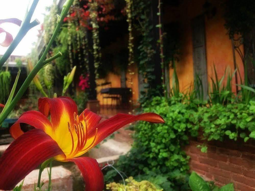 Hotel Eterna Primavera Antigua Екстер'єр фото