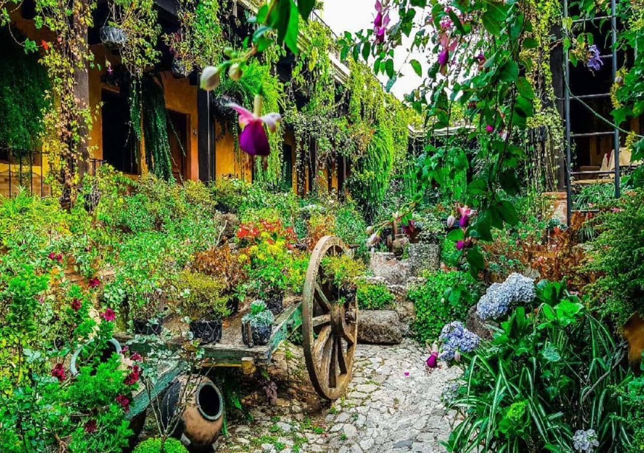 Hotel Eterna Primavera Antigua Екстер'єр фото